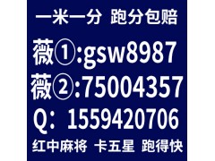 详细介绍随时上下分的两元一分跑得快群